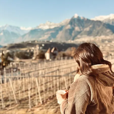 Neuhaeuslhof 公寓 *