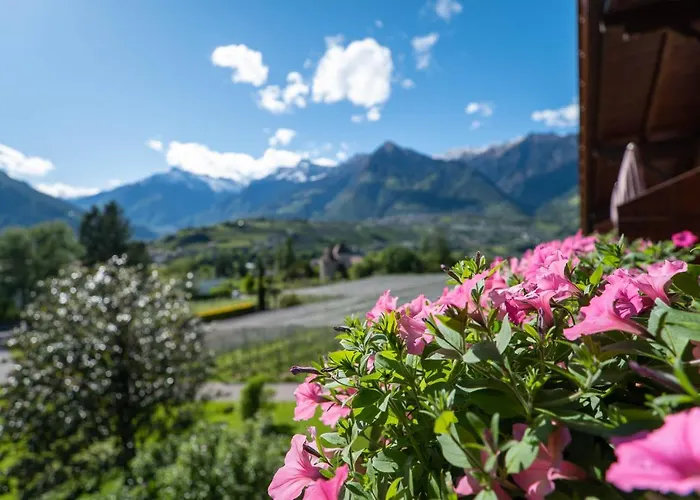 Neuhaeuslhof 아파트 *